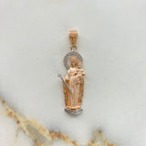 Dije Virgen Del Carmen 5.55gr / 4.5cm / Circones Blancos Dos Oros Blanco Rosa & Dije Virgen Del Carmen 5.55gr / 4.5cm / Circones Blancos Dos Oros Blanco Rosa &