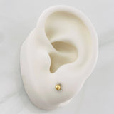 Topos Bola Lisa 0.45g / 3mm Oro Amarillo 18K