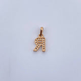 Dije Letra R 0.7gr / 1.4cm / Circones Blancos Oro Amarillo 18K $
