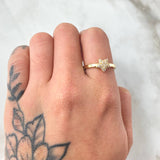 Anillo Estrella 1.9gr / T8 / Oro Amarillo 18K ©