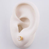 Topos Seis Garras Diamantes 1,3 Qts 2.05 g / 5.1 mm Oro Amarillo 18K
