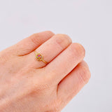 Anillo Recuadro Triqui 0.9 g / T4 1/2 Oro Amarillo 18K