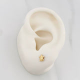 Topos Tortuga 0.55 g / 4.8 mm Oro Amarillo 18K