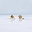 Topos Cruz 0.65gr / Circon Fuscia Oro Amarillo 18K &