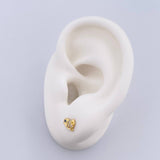 Topos Pajaro 0.75gr / Circones Azul Blancos Oro Amarillo 18K &