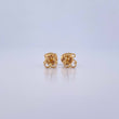Topos Silueta Oso Ts 0.6gr / Liso Oro Amarillo 18K &