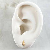 Topos Corona Real 0.6gr / Oro 18K