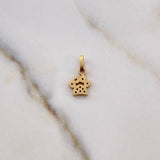 Dije Huella 0.55gr / 1.4cm / Circones Colores Oro Amarillo 18K #