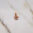 Dije Huella 0.5gr / 1.4cm / Circones Blancos Oro Rosa 18K &