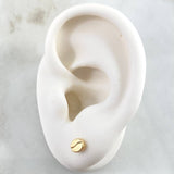 Topos Grano Café 0.55gr / Oro 18K ©