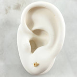 Topos Ala 0.55gr / Oro 18K ©