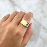 Anillo Sello Linea Vertical 7.6gr / T9 1/4 / Circones Verdes Oro Amarillo 18K
