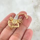 Dije Escorpion 8.05gr / 4cm / Oro 18K ©