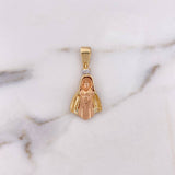 Dije Rostro Virgen 4.5gr / 3.5cm / Circones Blancos Fucsia Tres Oros 18K $