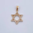 Dije Estrella De David 3.25gr / 3.4cm / Circones Blancos Oro Amarillo 18K &