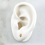Topos Estrella 0.6gr / 5mm Oro Amarillo 18K