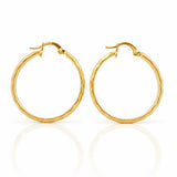 Candongas Lary 2.95g / 3cm Oro Amarillo 18K