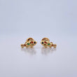 Topos Pez 1gr / Circones Naranja Amarillo Verde Café Oro Amarillo 18K &