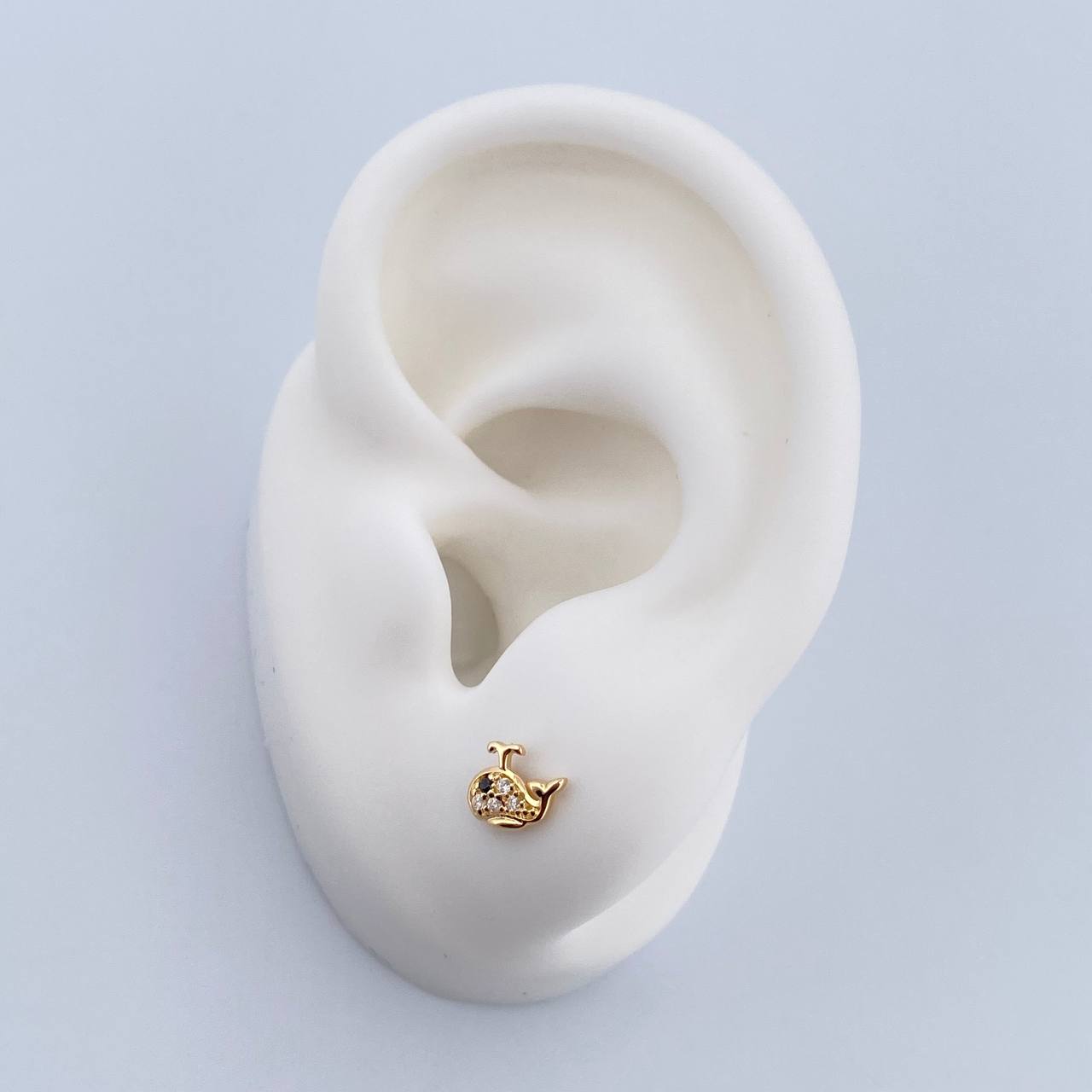Topos Ballena 0.8gr / Circones Negro Blancos Oro Amarillo 18K &