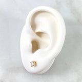 Topos Caja 1gr / 4mm Circones Blancos Oro Amarillo 18K (Joya) ©