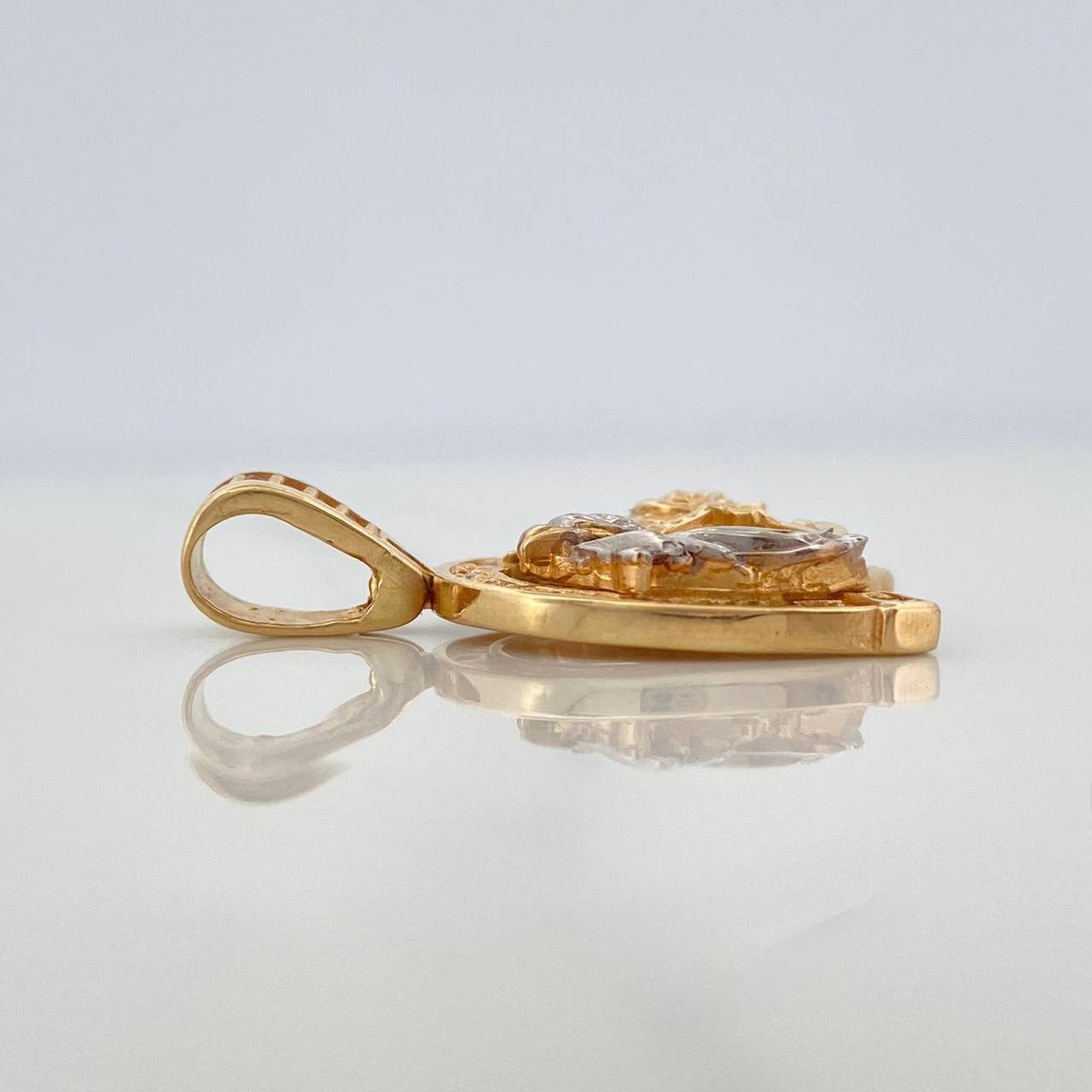 Dije Herradura De Caballo 4.55 g / 2.7 cm Dos Oros Amarillo Blanco 18K