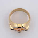 Anillo Estrella Cardinal 8.5gr / T11 / Oro 18K &