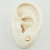 Topos Abeja 0.55gr / 6mm Oro Amarillo 18K