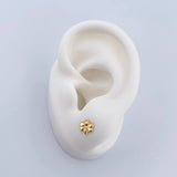 Topos Abeja 0.5gr / Lisos Oro Amarillo 18K &