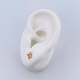 Topos Mariposa 1gr / Circones Fucsias Blancos Oro Amarillo 18K &