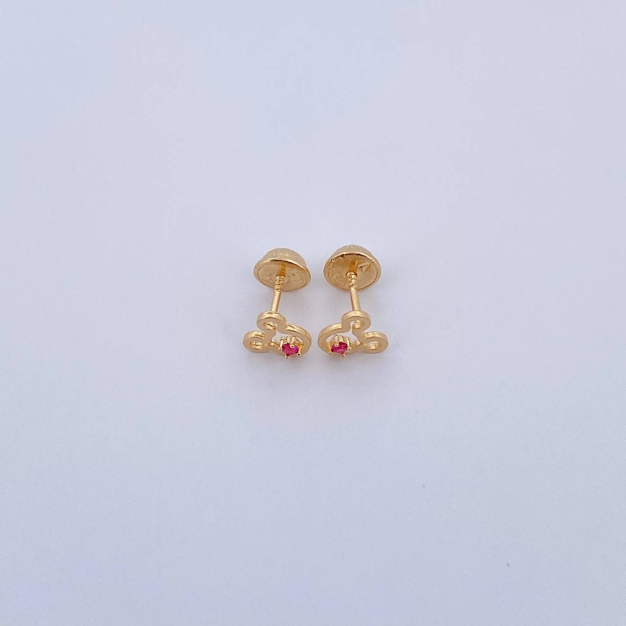 Topos Raton 0.75gr / Circon Fucsia Oro Amarillo 18K &