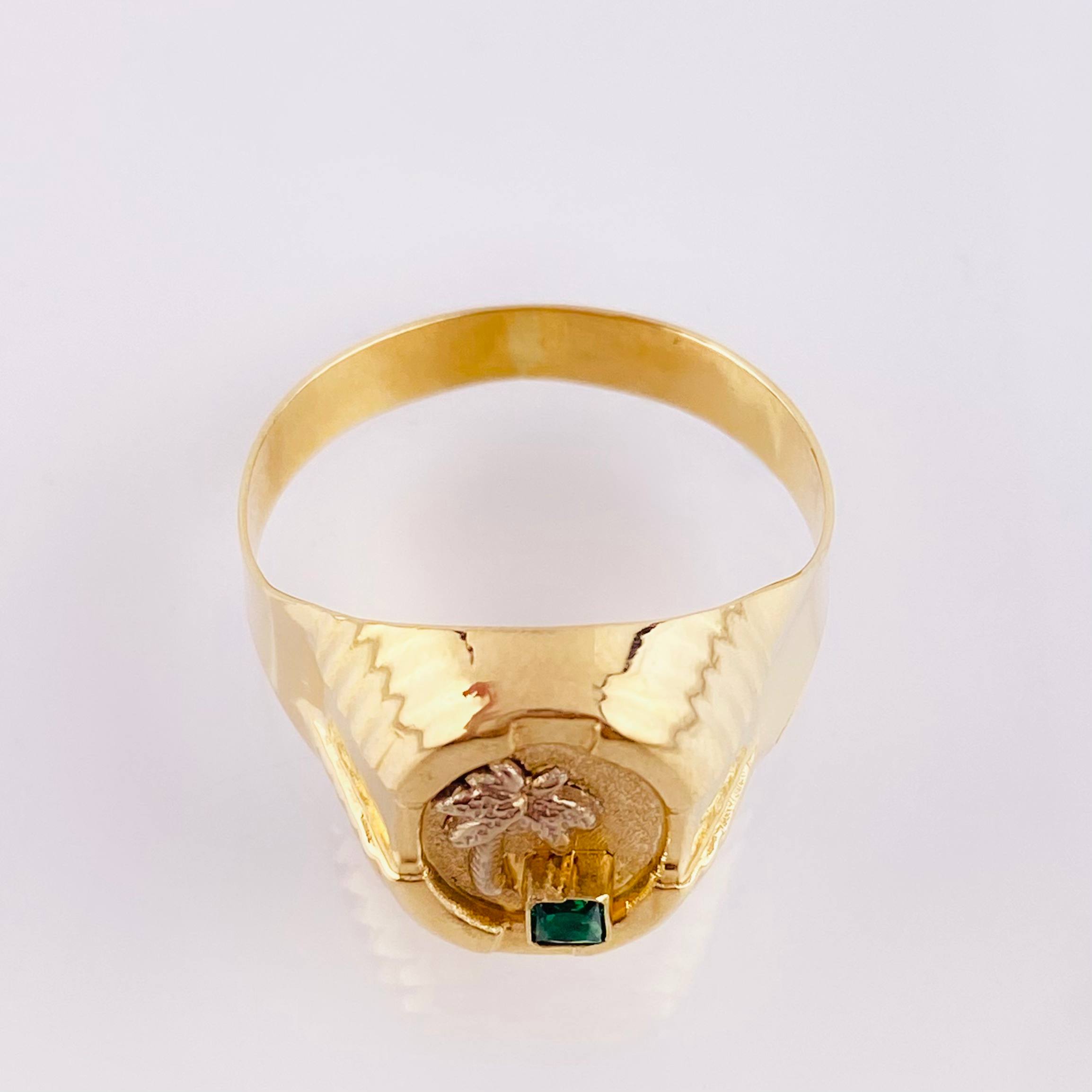 Anillo Marco Circular Palmera 3.65gr / T11 1/2 / Oro Amarillo 18K