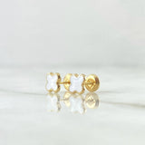 Topos Trebol 0.7gr / 6mm Borde Punteado Resina Blanca Oro Amarillo 18K