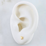 Topos Mariposa 0.65gr / Oro Amarillo 18K