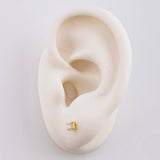 Topo Unico 12 Pts 0.3 g / 3.2 mm Oro Amarillo 18K