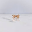 Topos Estrella De Mar 0.5gr / Oro Rosa 18K #