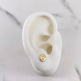 Topos Corona RX 0.6gr / Oro Amarillo 18K #