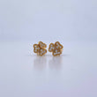 Topos Trebol 1.25gr / Circones Blancos Oro Amarillo 18K &