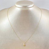 Set Cadena y Dije Aguja Trenzada + Abeja 1.15gr / 45cm / Oro Amarillo 18K (Oferta) ©