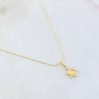 Set Cadena y Dije Aguja Trenzada + Estrella De David 1.2gr / 45cm / Oro Amarillo 18K (Oferta) ©
