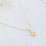 Set Cadena y Dije Aguja Trenzada + Estrella De David 1.2gr / 45cm / Oro Amarillo 18K (Oferta) ©