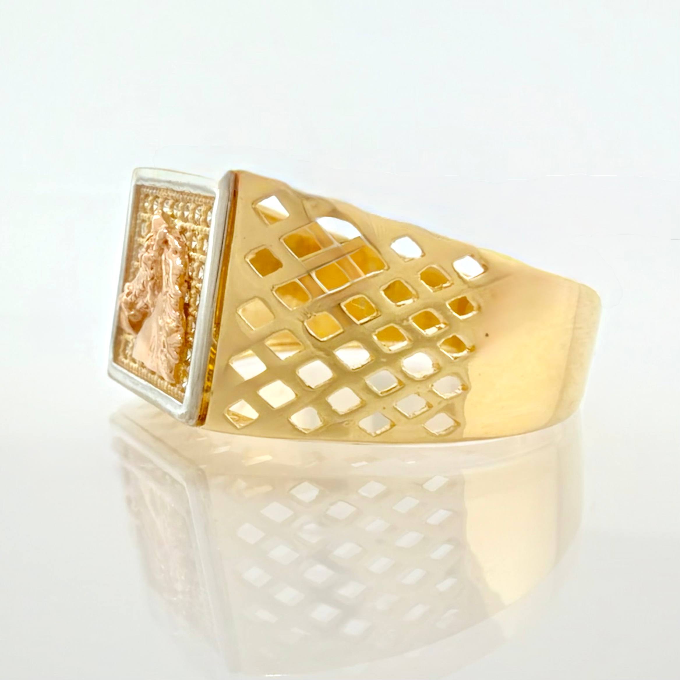 Anillo Caballo Cuadro Enmallado 6.3gr / T10 / Tres Oros 18K
