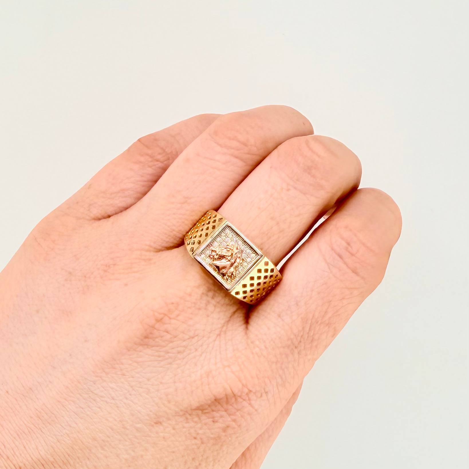 Anillo Caballo Cuadro Enmallado 6.3gr / T10 / Tres Oros 18K