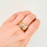 Anillo Caballo Cuadro Enmallado 6.3gr / T10 / Tres Oros 18K