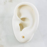 Topos Bisel 0.45gr / Oro Amarillo 18K