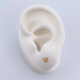 Topos Mariposa 0.45gr / Circon Blanco Oro Amarillo 18K $