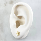Topos Estrella De Mar 0.55gr / 7.5mm Oro Amarillo 18K