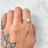 Anillo Halo Flor 2.6gr / T6 1/2 / Oro Amarillo 18K