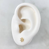 Topos Flor Nevada 0.75gr / 5mm Circones Blancos Oro Amarillo 18K