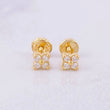 Topos Estrella Diamantes 14pts 1.15g / 4.4mm Oro Amarillo 18K