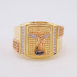 Anillo Sello Rectangular San Miguel 8.75g / T11 Tres Oros 18K